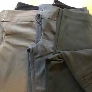 Express dress pant Bundle